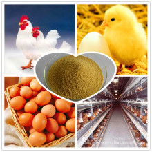 High efficient!! multi-enzyme for poultry(Broiler, Egglayer,Duck, Breeder etc.)